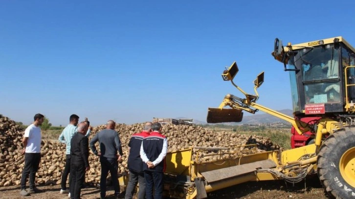 450 bin tonluk hasat bekleniyor! Pancar üretiminde son durum