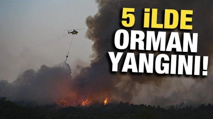 5 ilde orman yangını: Müdahaleler sürüyor, işte son durum!