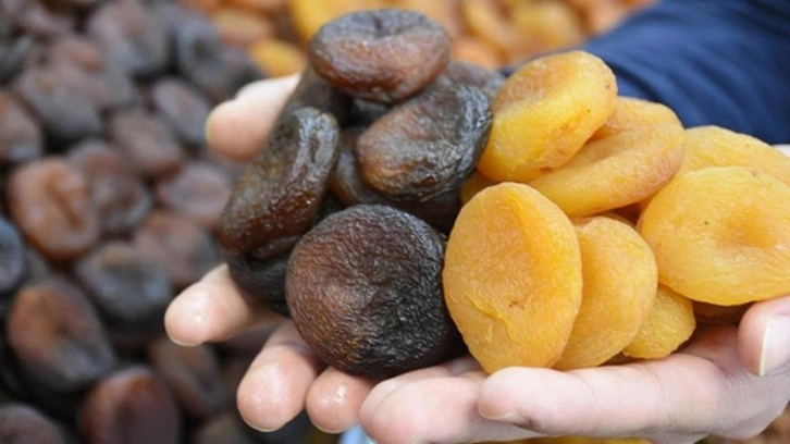 74 bin ton kuru kayısı ihracatı yapıldı! Malatya'dan sevindiren haber