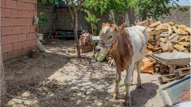 9 ay kaçmayı başardı! Bayrama günler kala yakalandı