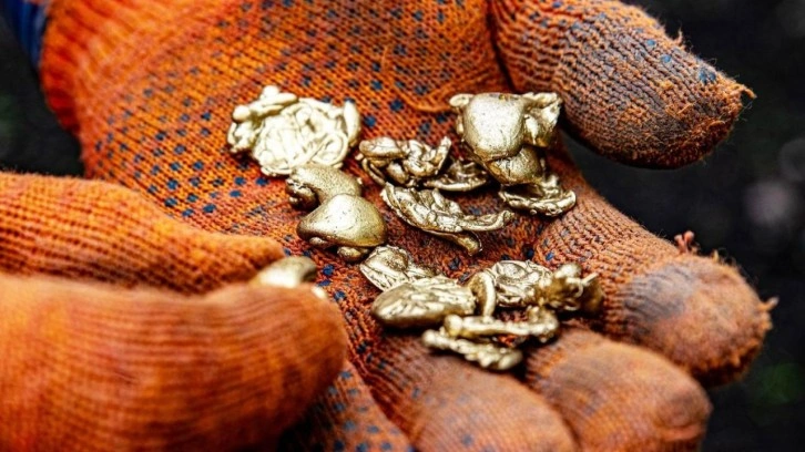 ABD'de yeni keşif: Yüksek kalite altın rezervi bulundu!