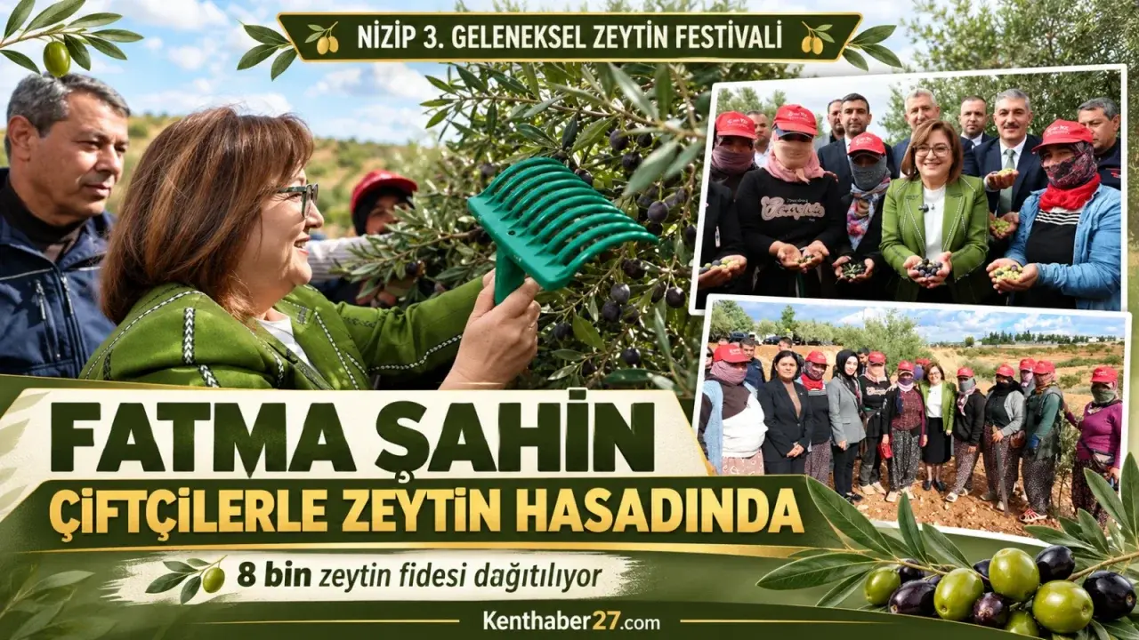 Fatma Şahin, Nizip Zeytin Festivali’nde çiftçilerle hasada katıldı