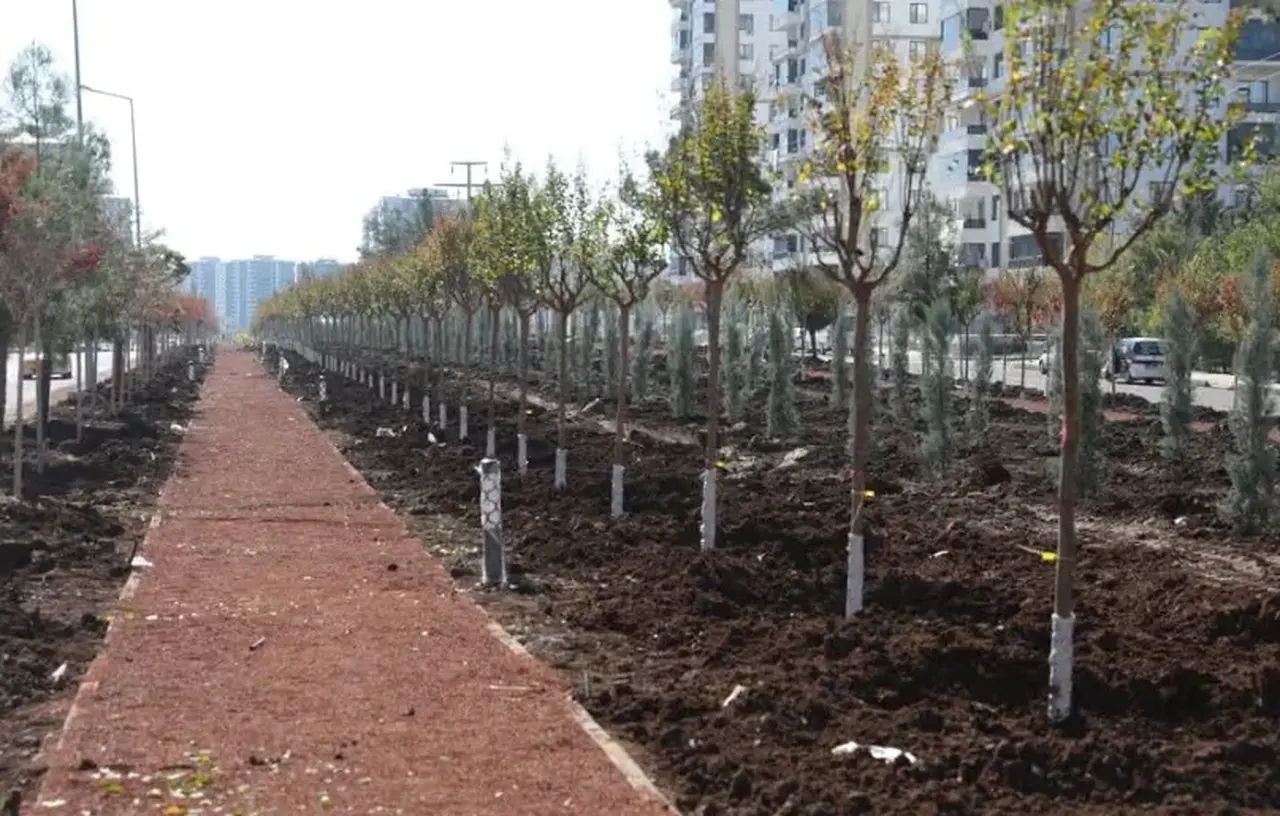 Yeşil bir kent için 9 bin ağaç ve 50 bin çalı toprakla buluştu