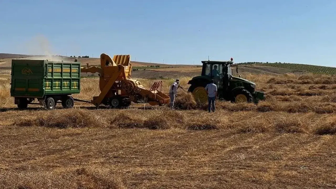 Mercimek Desteğinde Hak Sahipleri Açıklandı