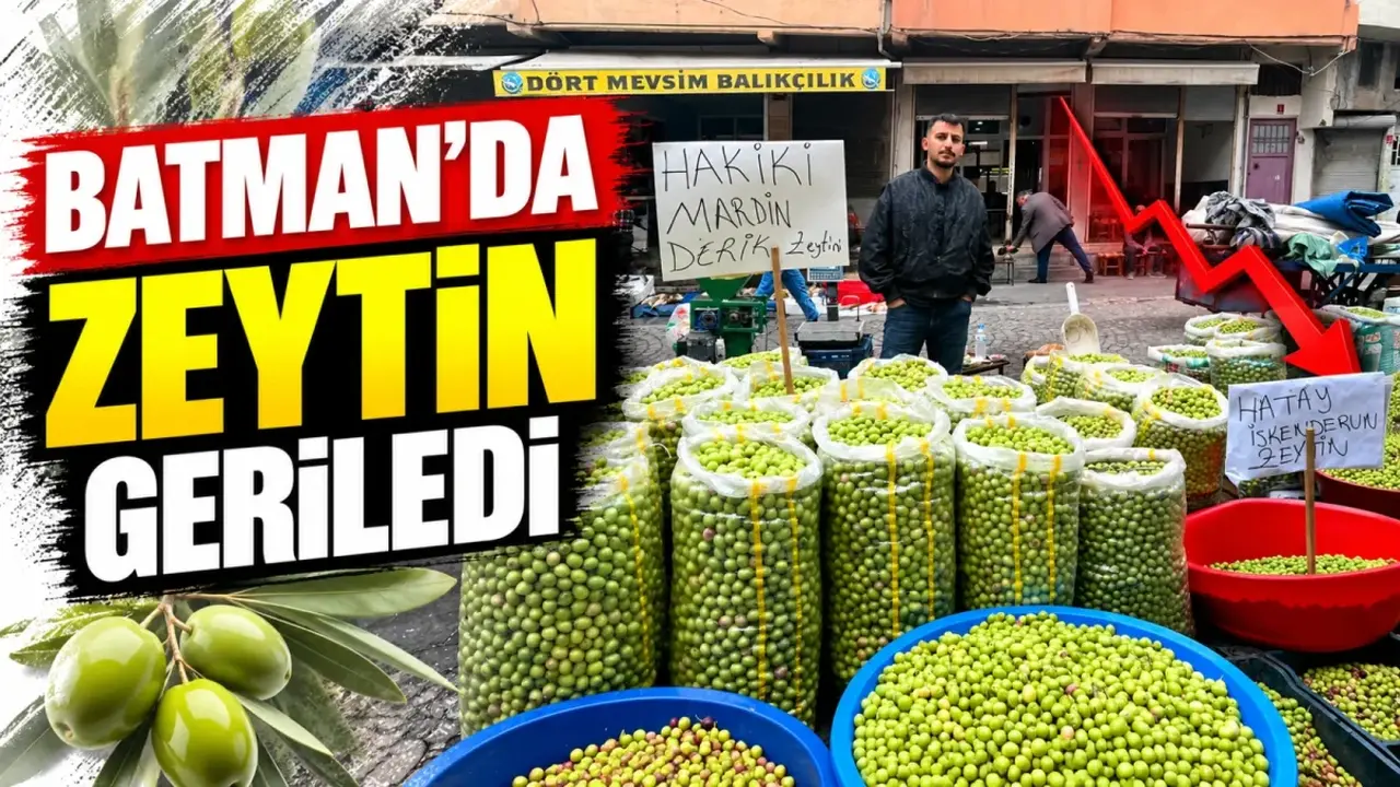 Batman’da zeytin geriledi