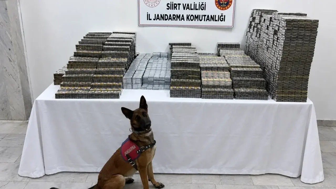 700 Bin TL Değerinde Kaçak Sigara Ele Geçirildi