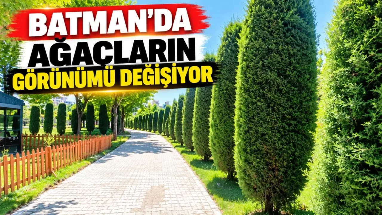 Batman’da ağaçların görünümü değişiyor