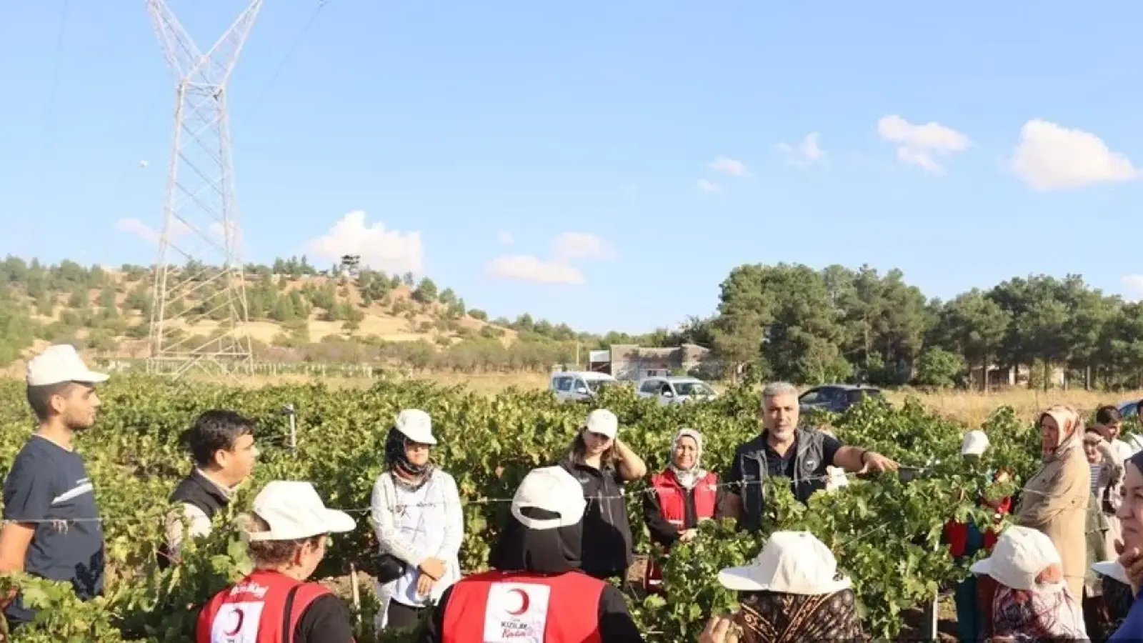 Bağcılık eğitimleri sürüyor
