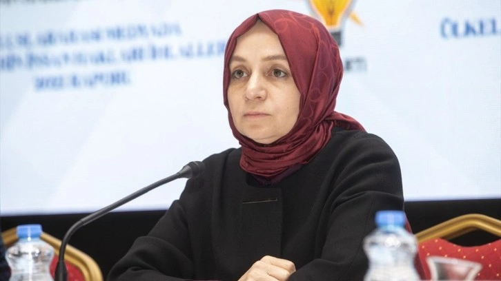 AK Parti Genel Başkan Yardımcısı Usta'dan &ouml;nemli a&ccedil;ıklamalar