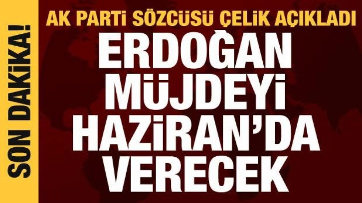 AK Parti S&ouml;zc&uuml;s&uuml; &Ouml;mer &Ccedil;elik'ten &ouml;nemli a&ccedil;ıklamalar