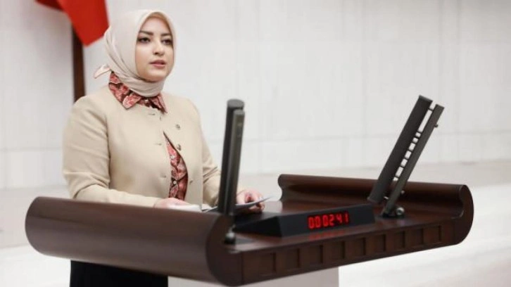 AK Parti'li Atabek: RT&Uuml;K'&uuml;n kırmızı &ccedil;izgileri bellidir
