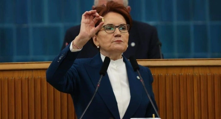 Akşener'den &ccedil;ok konuşulacak &ccedil;ıkış: O kovanlar Erdoğan'a mesajdı