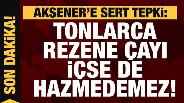 Akşener'e b&uuml;y&uuml;k tepki: Tonlarca rezene &ccedil;ayı i&ccedil;se de hazmedemez