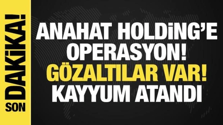 Anahat Holding ve Gain'e operasyon: G&ouml;zaltılar var, kayyum atandı