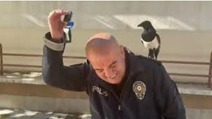 Ankara’da polis ile saksağanın güldüren dostluğu