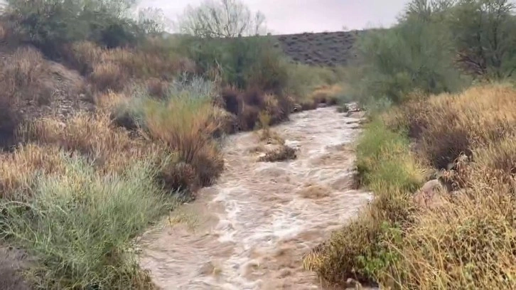 Arizona'da sel 4 can aldı!