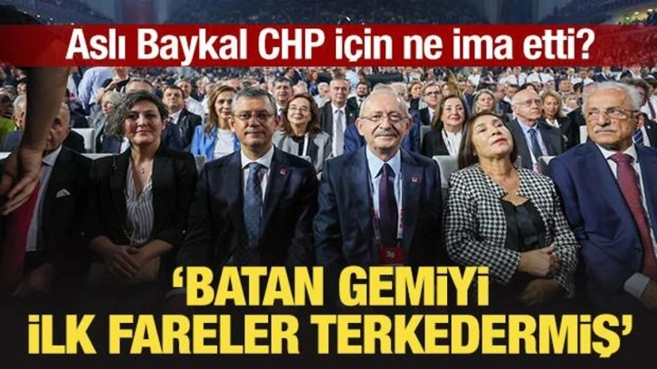 Aslı Baykal CHP için ne ima etti? "Batan gemiyi ilk fareler terkedermiş"