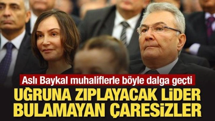 Aslı Baykal muhaliflerle böyle dalga geçti: Uğruna zıplayacak lider bulamayan çaresizler