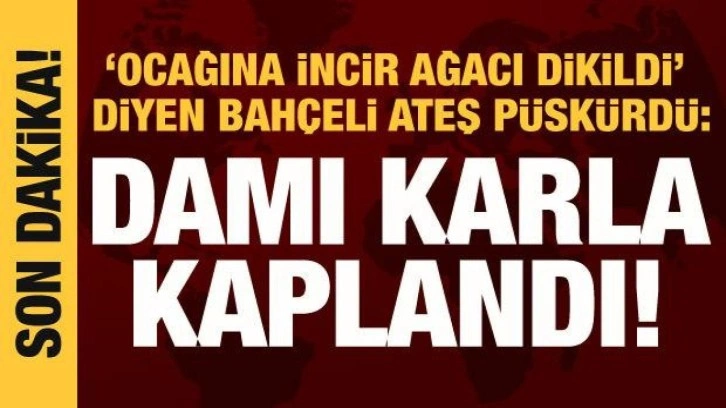 Bah&ccedil;eli'den muhalefete tepki: Ocağına incir ağacı dikildi!