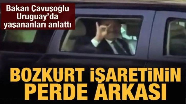 Bakan &Ccedil;avuşoğlu'ndan 'Bozkurt' işareti a&ccedil;ıklaması
