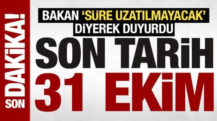 Bakan, 'süre uzatılmayacak' diyerek uyardı: 'Eski tip ehliyetler için son tarih 31 Ek