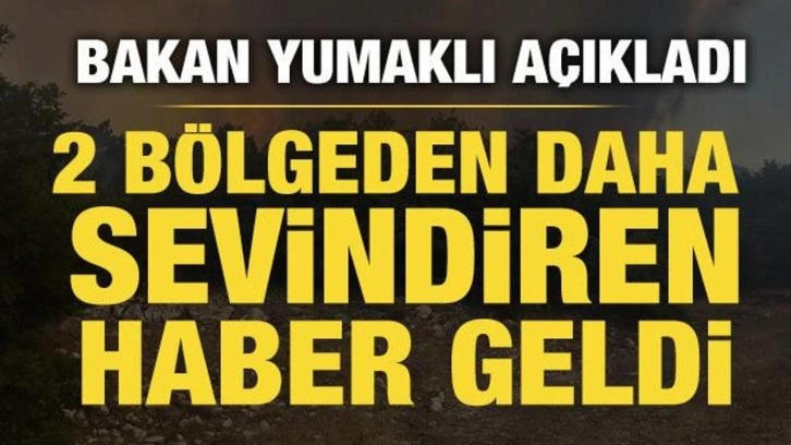 Bakan Yumaklı: 3 yangın kontrol altında