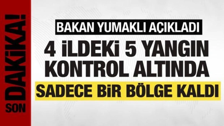Bakan Yumaklı'dan yangınlarla ilgili açıklama: Sadece bir bölge kaldı