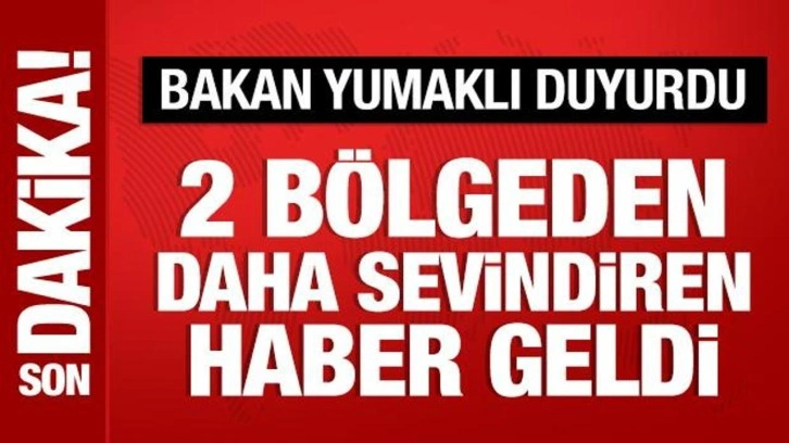 Bakan Yumaklı duyurdu: 2 bölgede daha yangın kontrol altına alındı