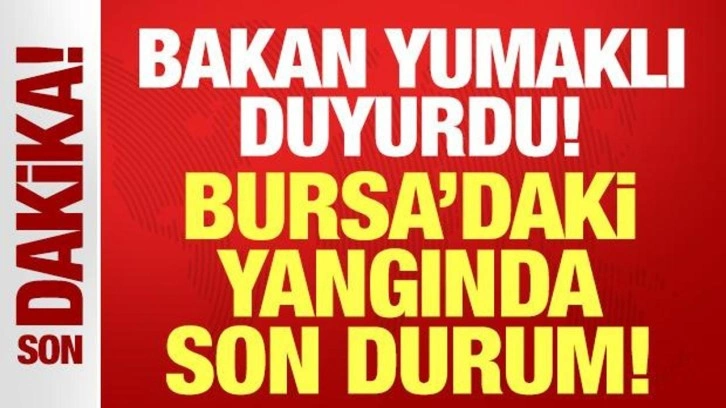 Bakan Yumaklı duyurdu: Bursa'daki yangın kontrol altına alındı!