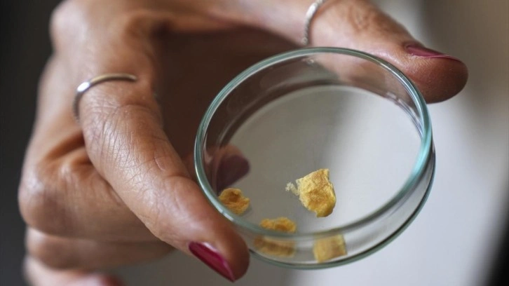 Balık kılçığı yüksek kaliteli kolajene dönüştürüldü