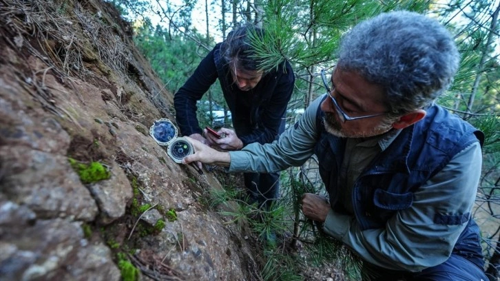 Balıkesir depremlerinin nedeni ortaya çıktı: Haritalarda olmayan fay dirildi