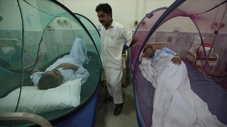 Bangladeş'te dang hummasından &ouml;lenlerin sayısında korkutan artış