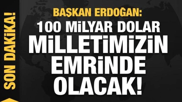 Başkan Erdoğan dev mitingde a&ccedil;ıkladı: 100 milyar dolar milletimizin emrinde olacak