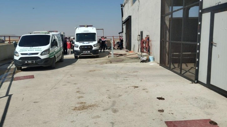 Besi çiftliğinde metan gazı faciası: 2 kişi öldü!