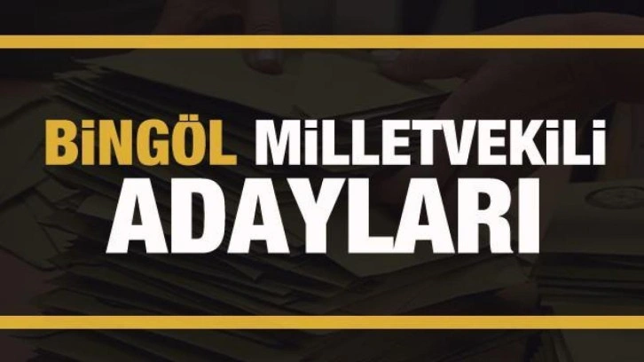 Bing&ouml;l milletvekili adayları! PARTİ PARTİ TAM LİSTE
