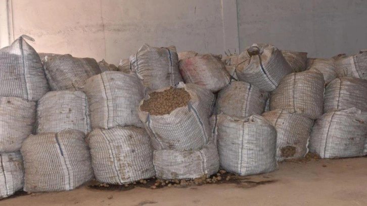 Binlerce ton patates alıcı bekliyor