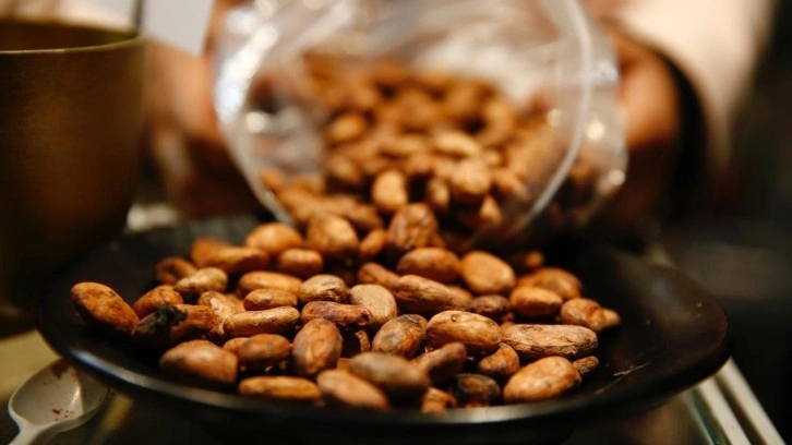 Bir fincan kakaonun şaşırtıcı faydası!