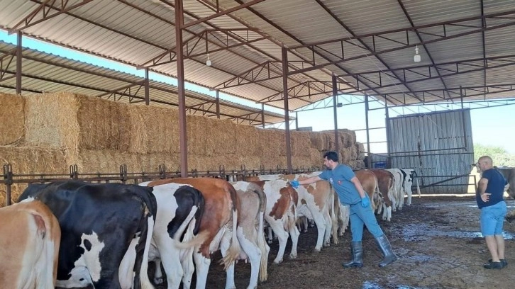 Bir ilde 12 mahalle karantinaya alındı!