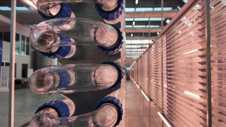 Boğaziçi Üniversitesi mikroalg temelli biyopestisit geliştirecek