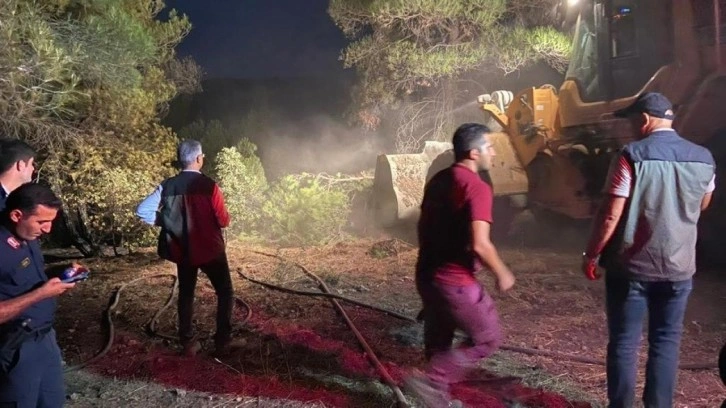 Bolu&rsquo;daki orman yangını kontrol altına alındı