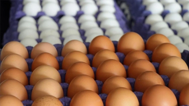Bu yumurtaların satışı olmayacak! Markete gidince şaşırmayın