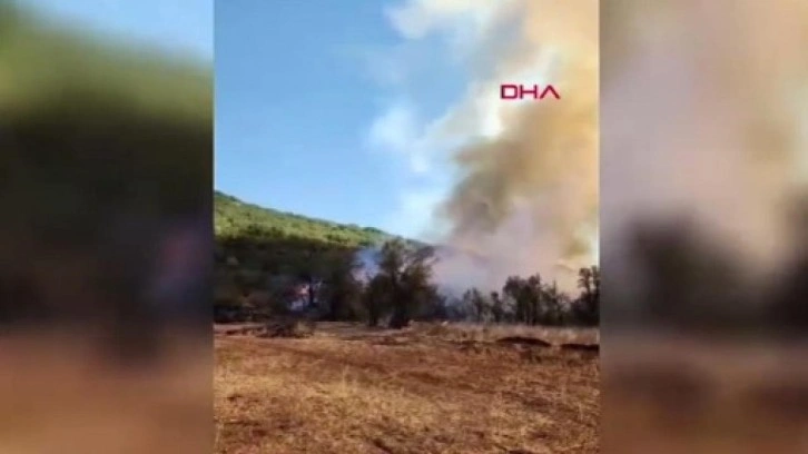 Burdur'da orman yangını