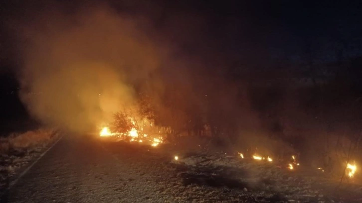 Çemişgezek'te otluk alanda yangın