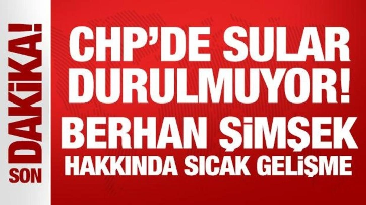 CHP'de sular durulmuyor! Berhan Şimşek’i disipline sevk ettiler