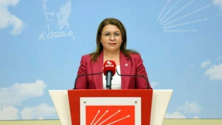 CHP'den yıkım vaadi: N&uuml;kleer enerji santrallerini iptal edeceğiz