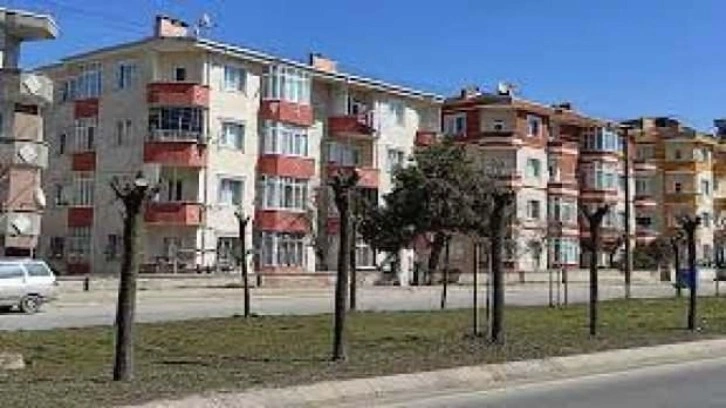 CHP'li belediyeden ağa&ccedil; katliamına akıllara ziyan savunma: Dekora uymuyor