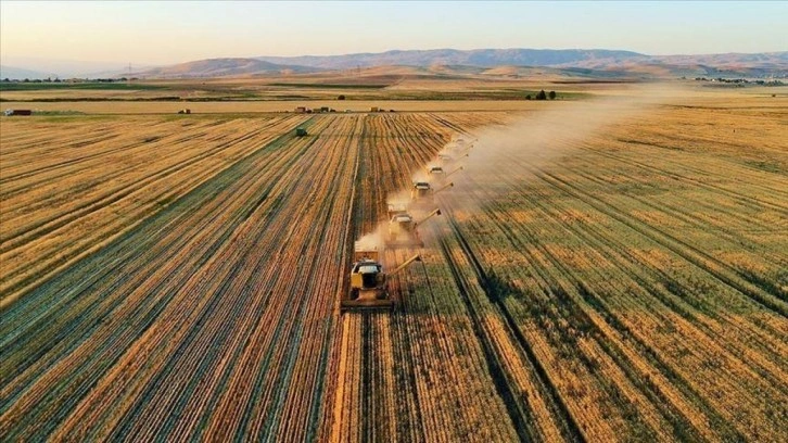 Çiftçilere yaklaşık 3,1 milyar lira destek ödemesi bugün yapılacak
