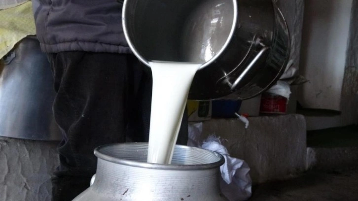 Çiğ süt fiyatları belli oldu!