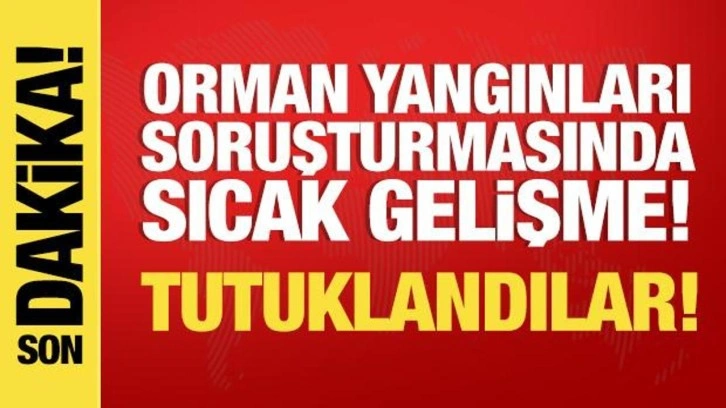 Ciğerlerimiz yanıyor! jandarma yakaladı... 3 kişi tutuklandı
