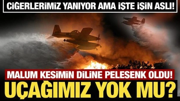 Ciğerlerimiz yanıyor! Malum kesimin diline pelesenk oldu! Uçağımız yok mu?